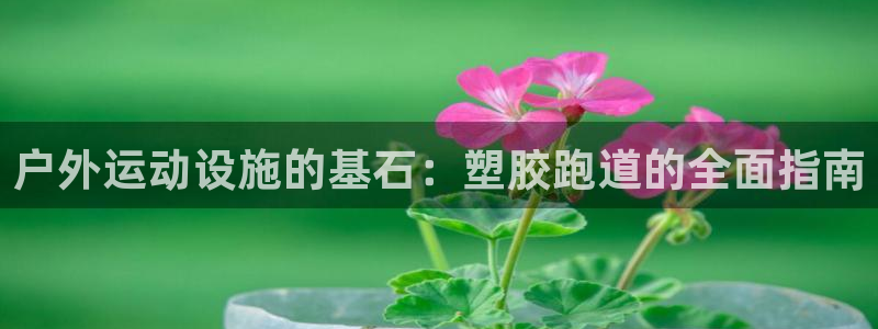 谈球吧官网在线入口免费观看视频网站：户外运动设施的基石：塑胶跑道的全面指南