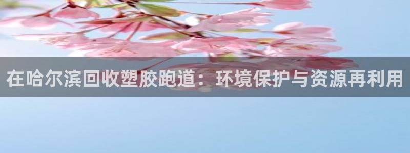 谈球吧app体育：在哈尔滨回收塑胶跑道：环境保护与资源再利用