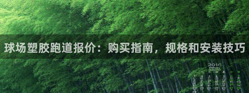 谈球吧app体育：球场塑胶跑道报价：购买指南，规格和安装技巧