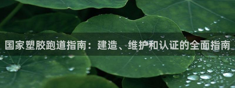 谈球吧中国官方网站：国家塑胶跑道指南：建造、维护和认证的全面指南