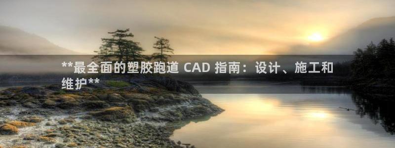 tqb谈球吧：**最全面的塑胶跑道 CAD 指南：设