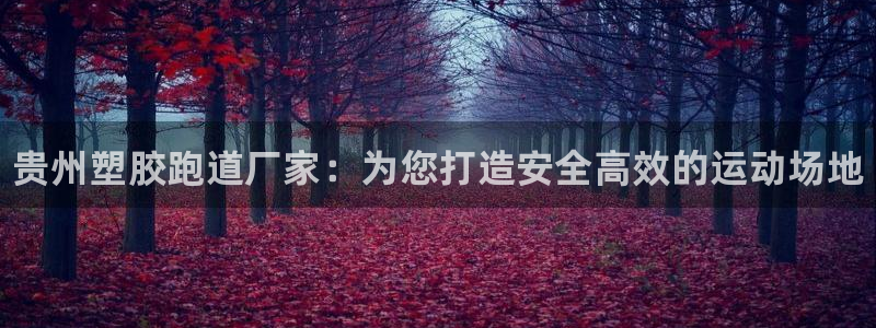 谈球吧入口:贵州塑胶跑道厂家:为您打造安全高效的运动场地